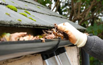 gutter cleaning Dale End