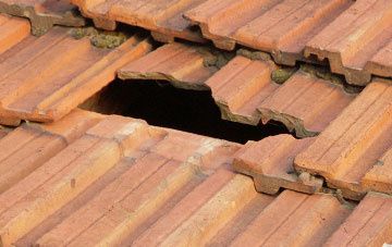 roof repair Dale End